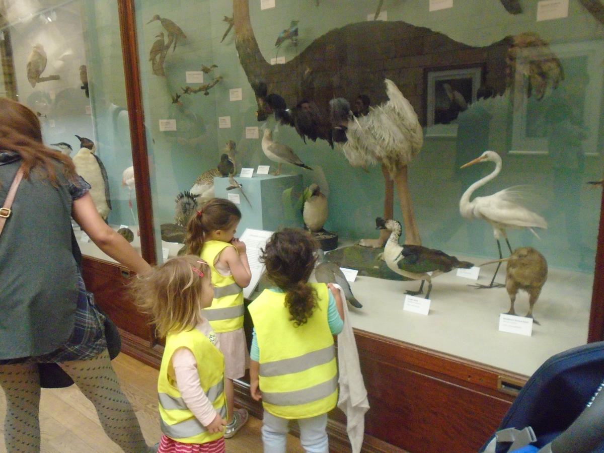 Job Positions Available